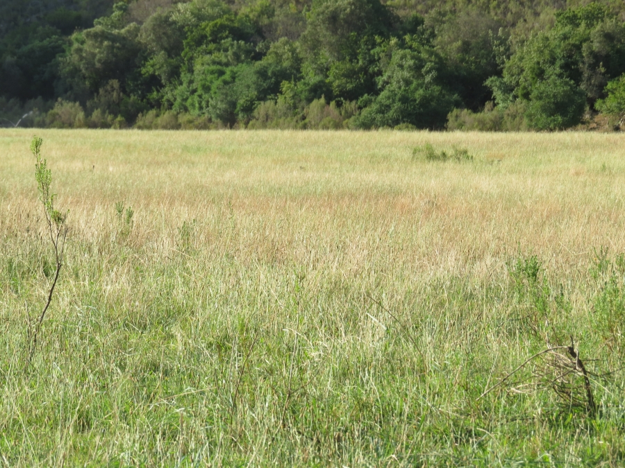 3 Bedroom Property for Sale in Joubertina Eastern Cape